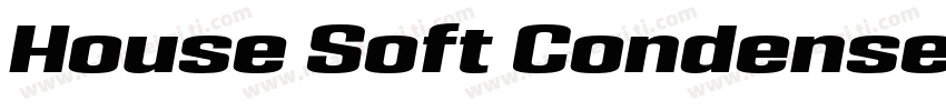 House Soft Condensed Black Italic字体转换
